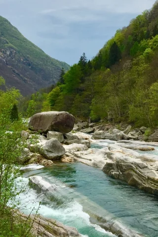 природа