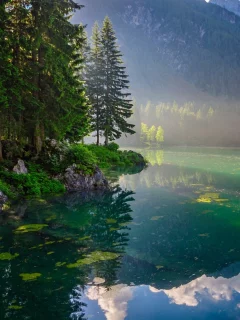 природа