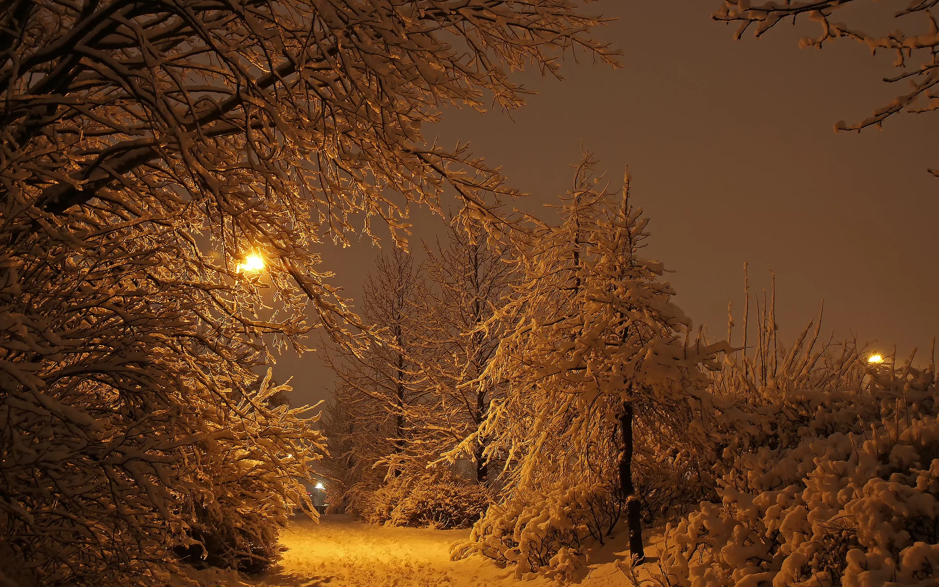 Город