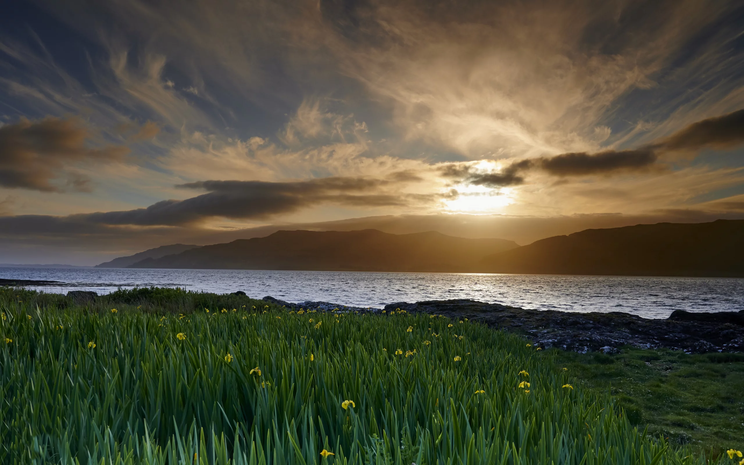 Природа
