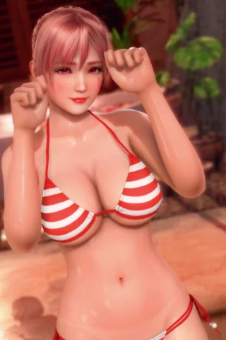 DEAD OR ALIVE Xtreme Venus Vacation