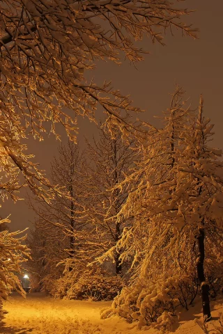 Город