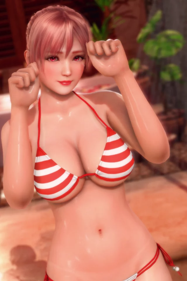 DEAD OR ALIVE Xtreme Venus Vacation