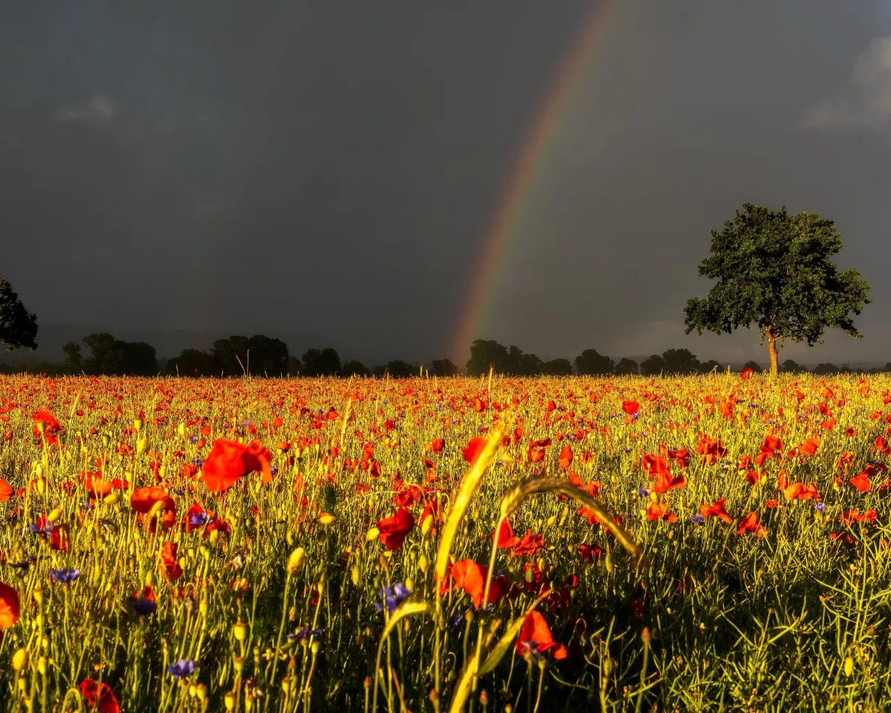 Природа