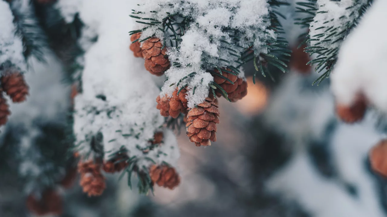 Разное