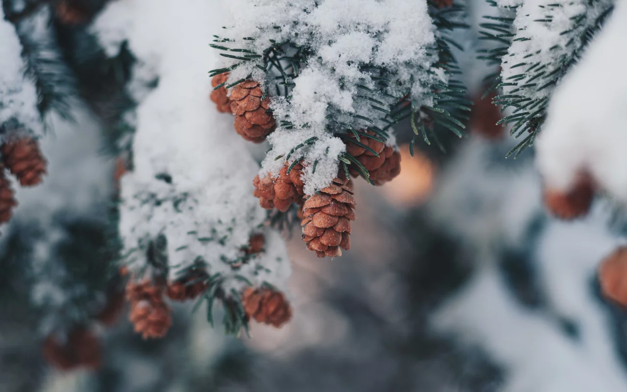 Разное
