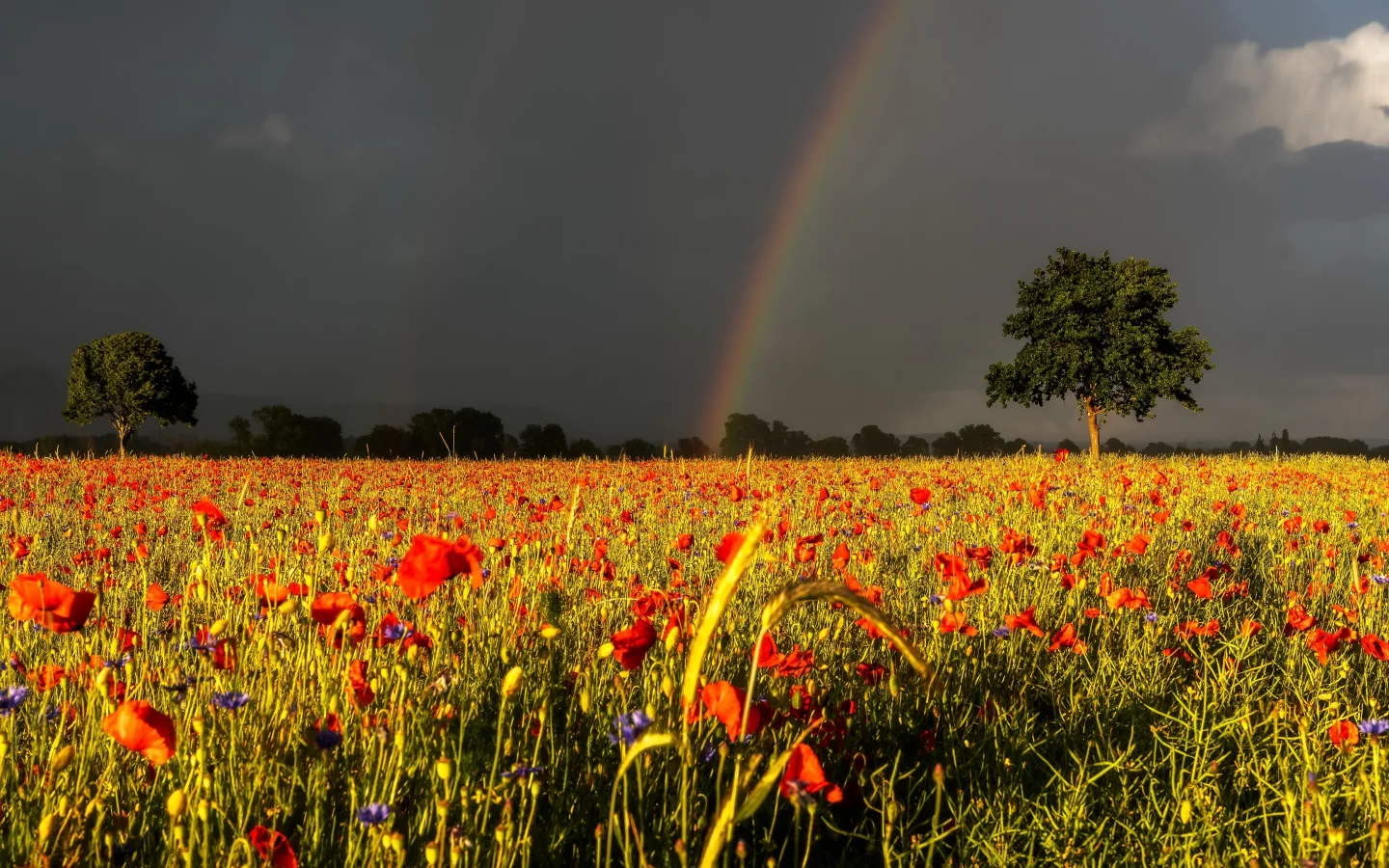 Природа