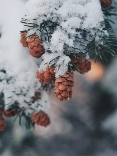 Разное