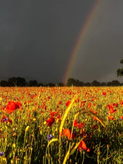 Природа