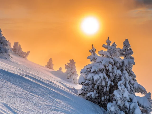 Природа
