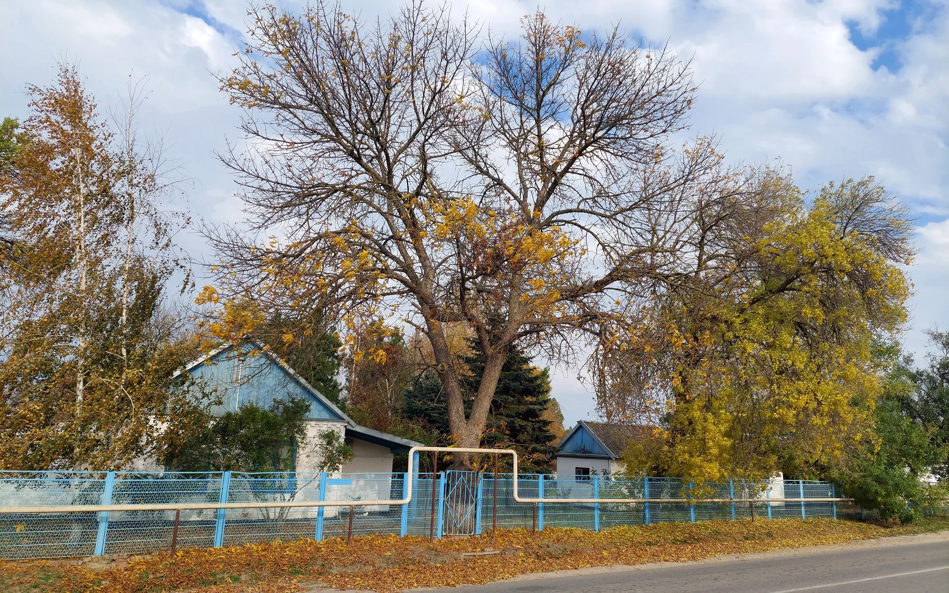 осень