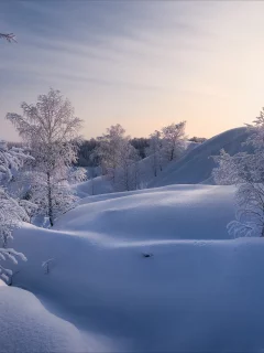 Алексей Богорянов