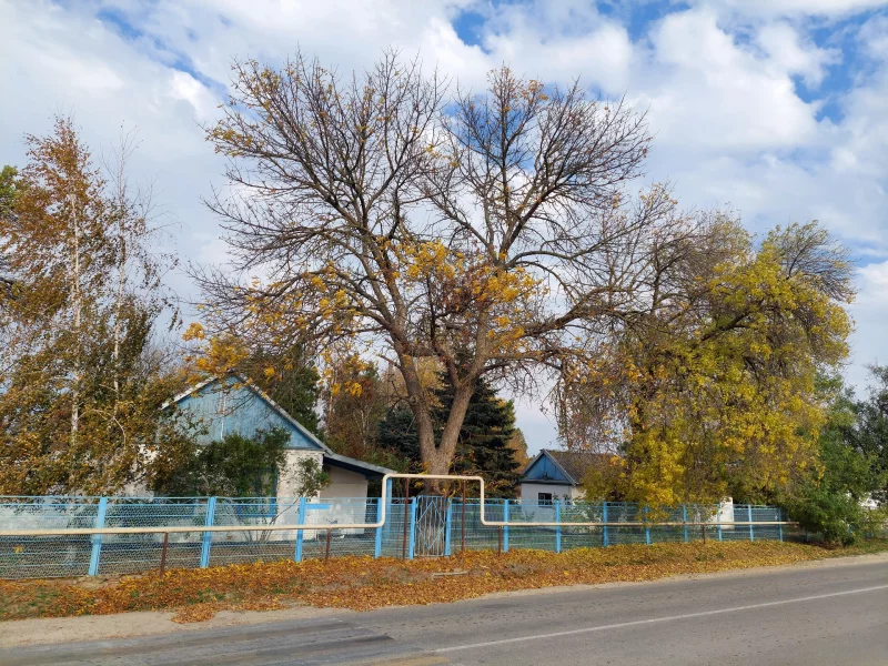 осень