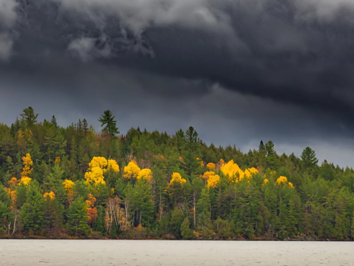 осень