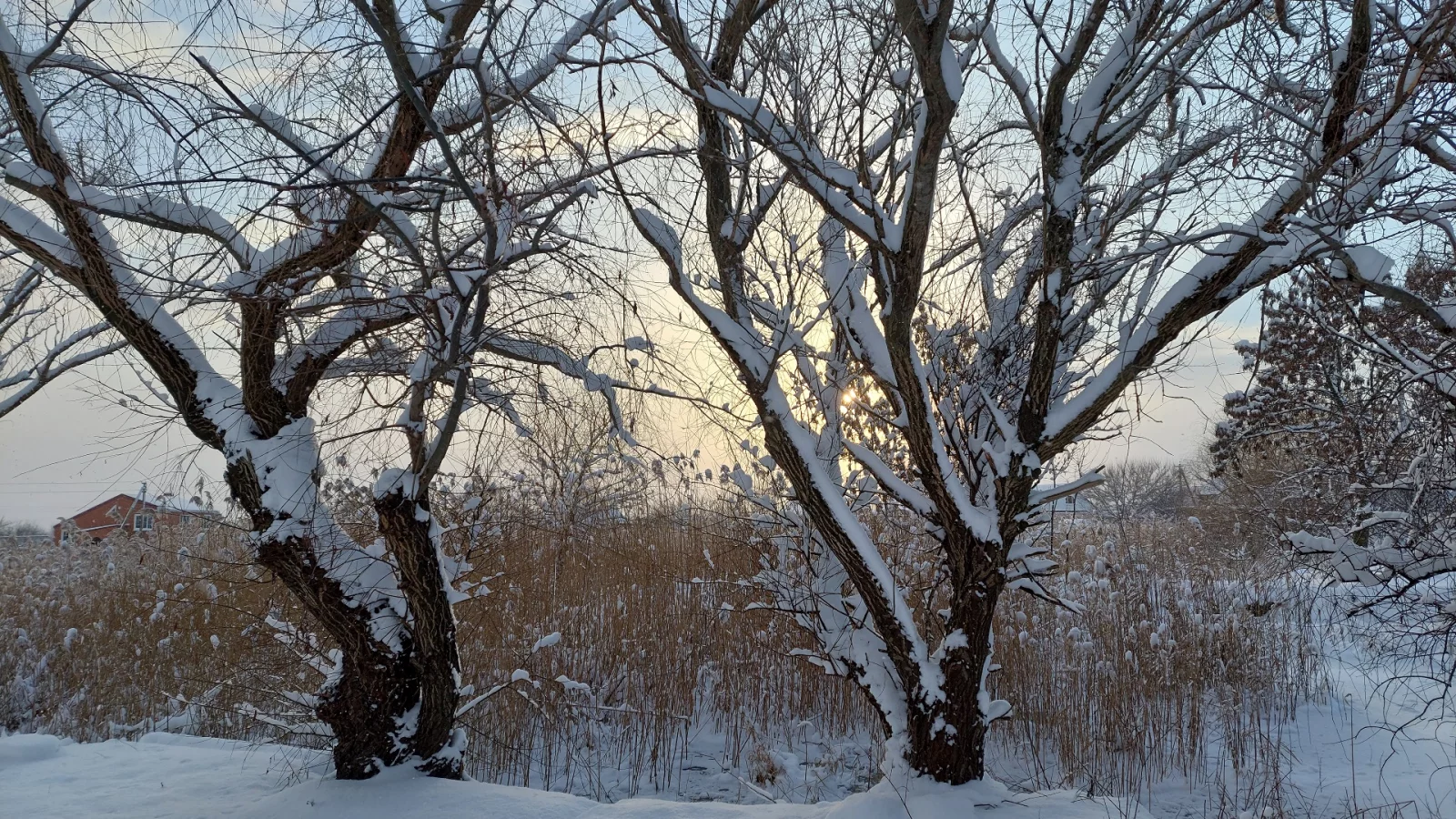 зима