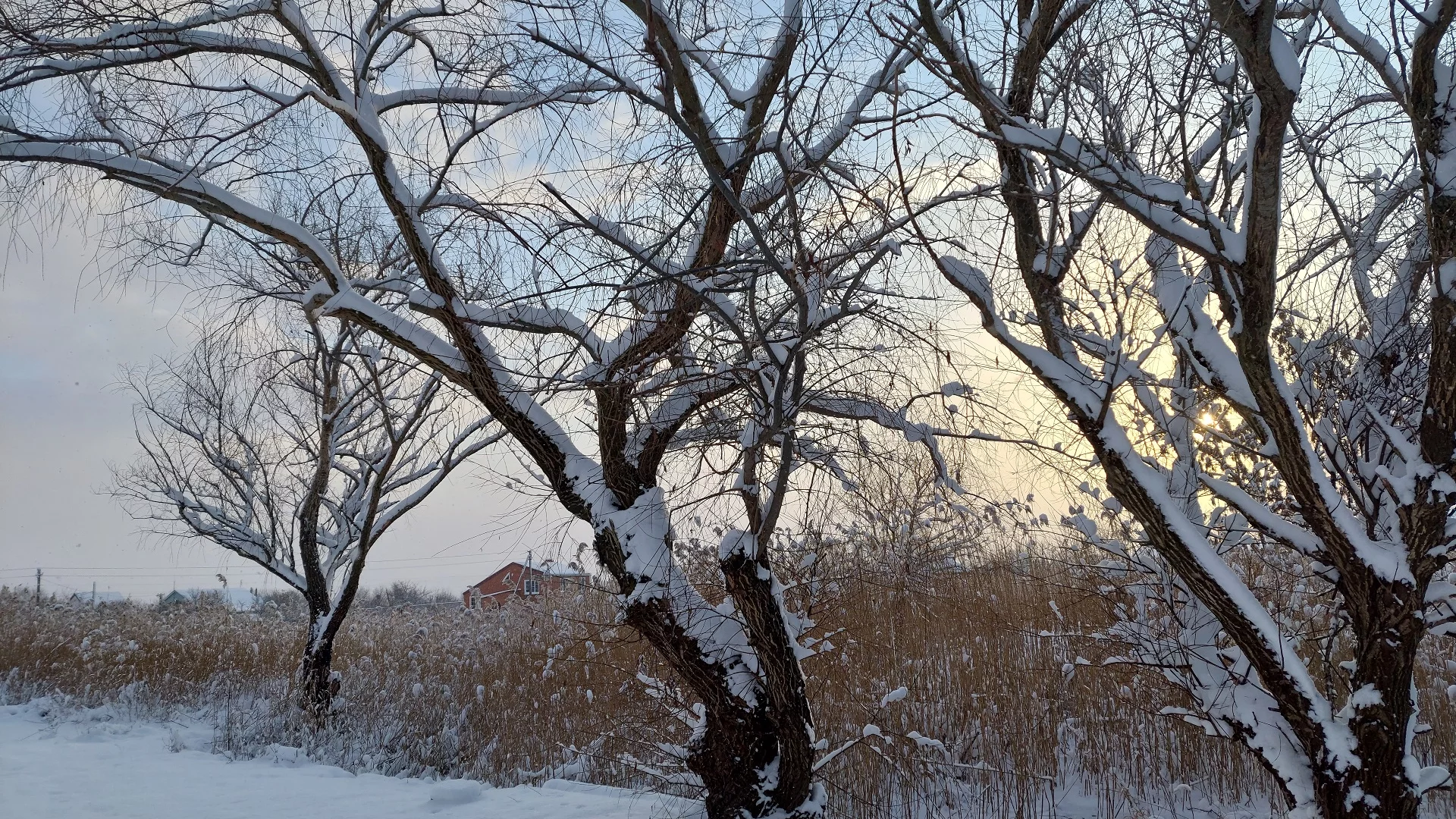 зима