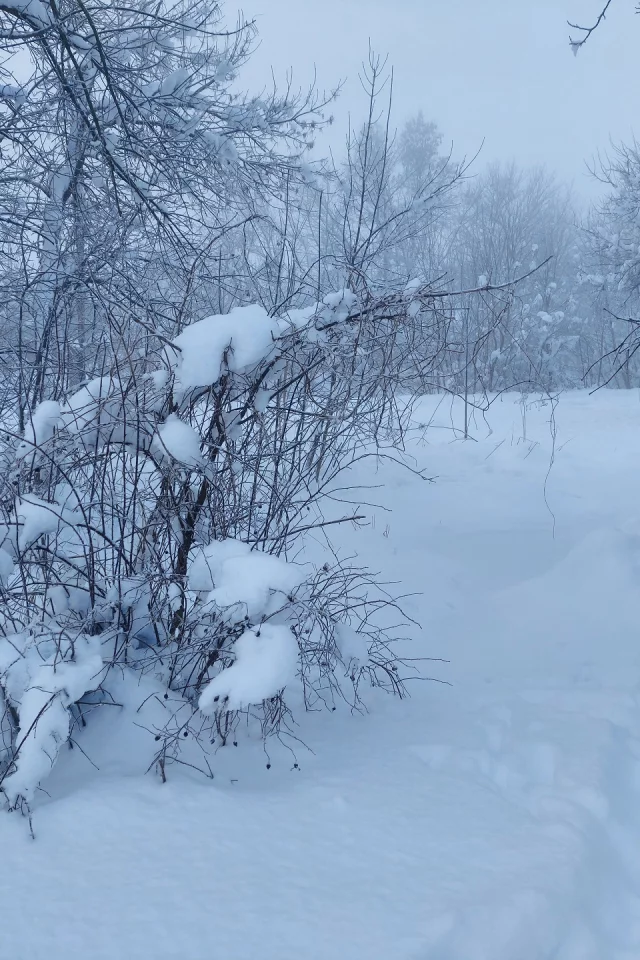 зима