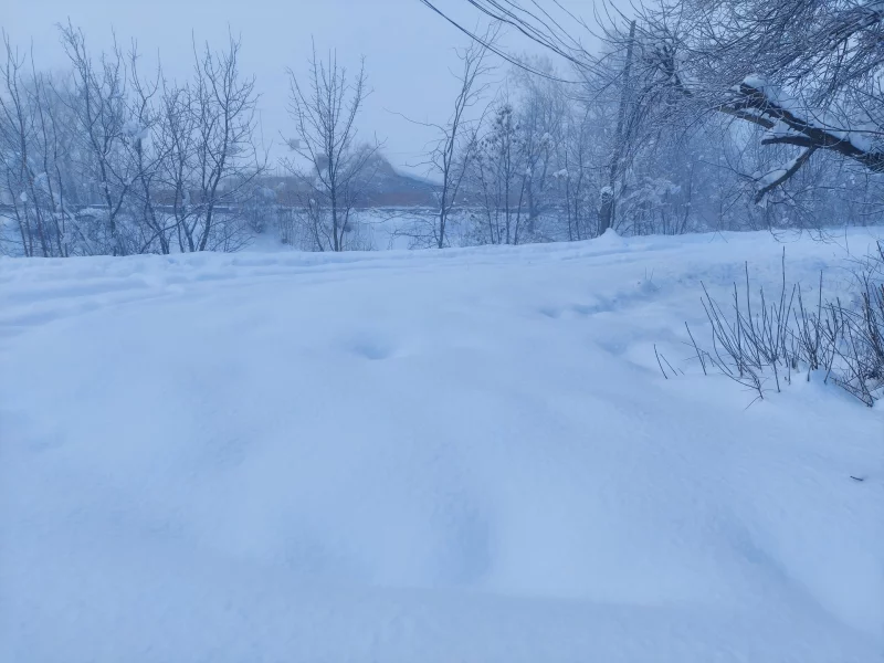 зима
