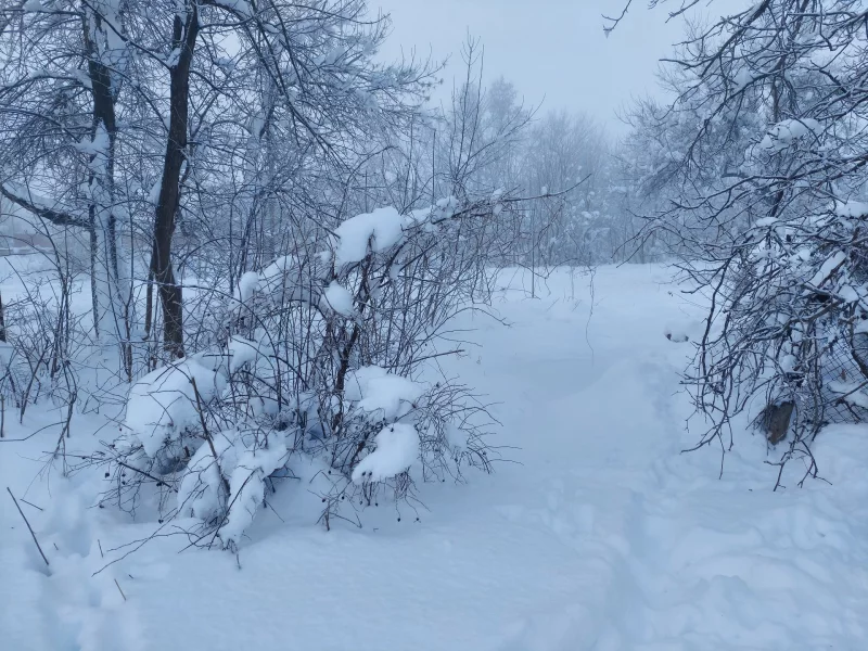 зима