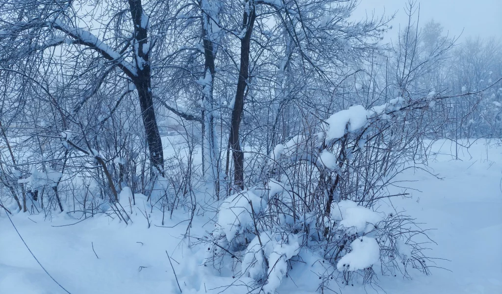 зима