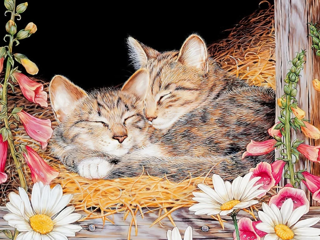 рисунок
