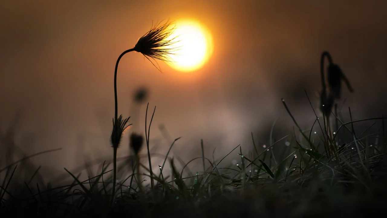 природа