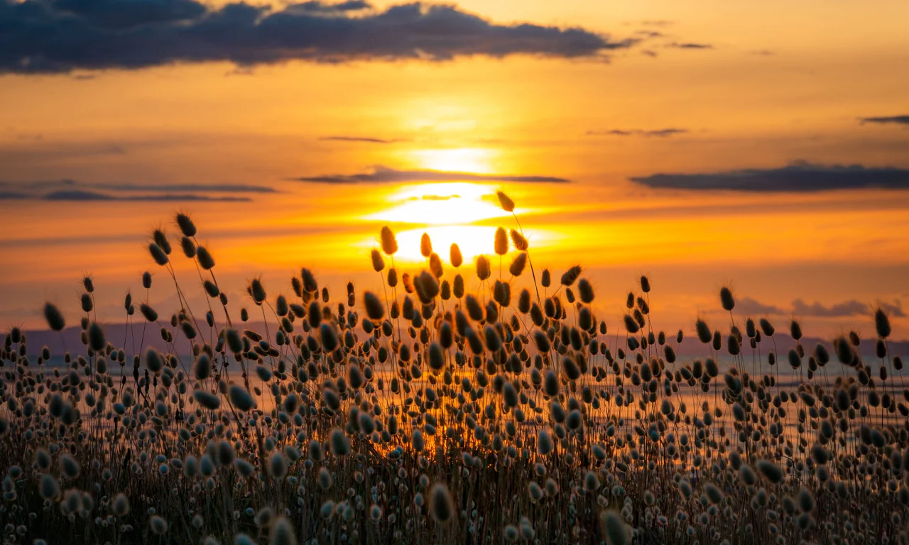закат