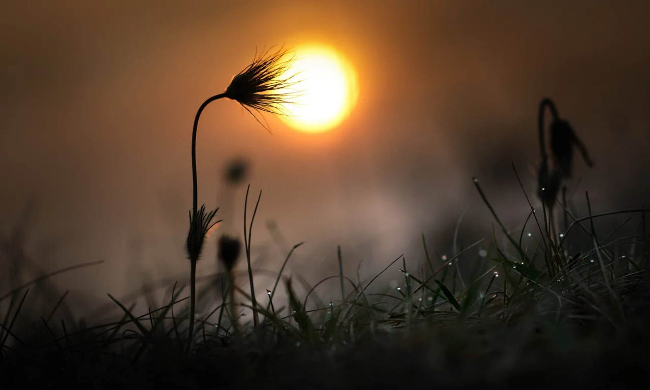 природа