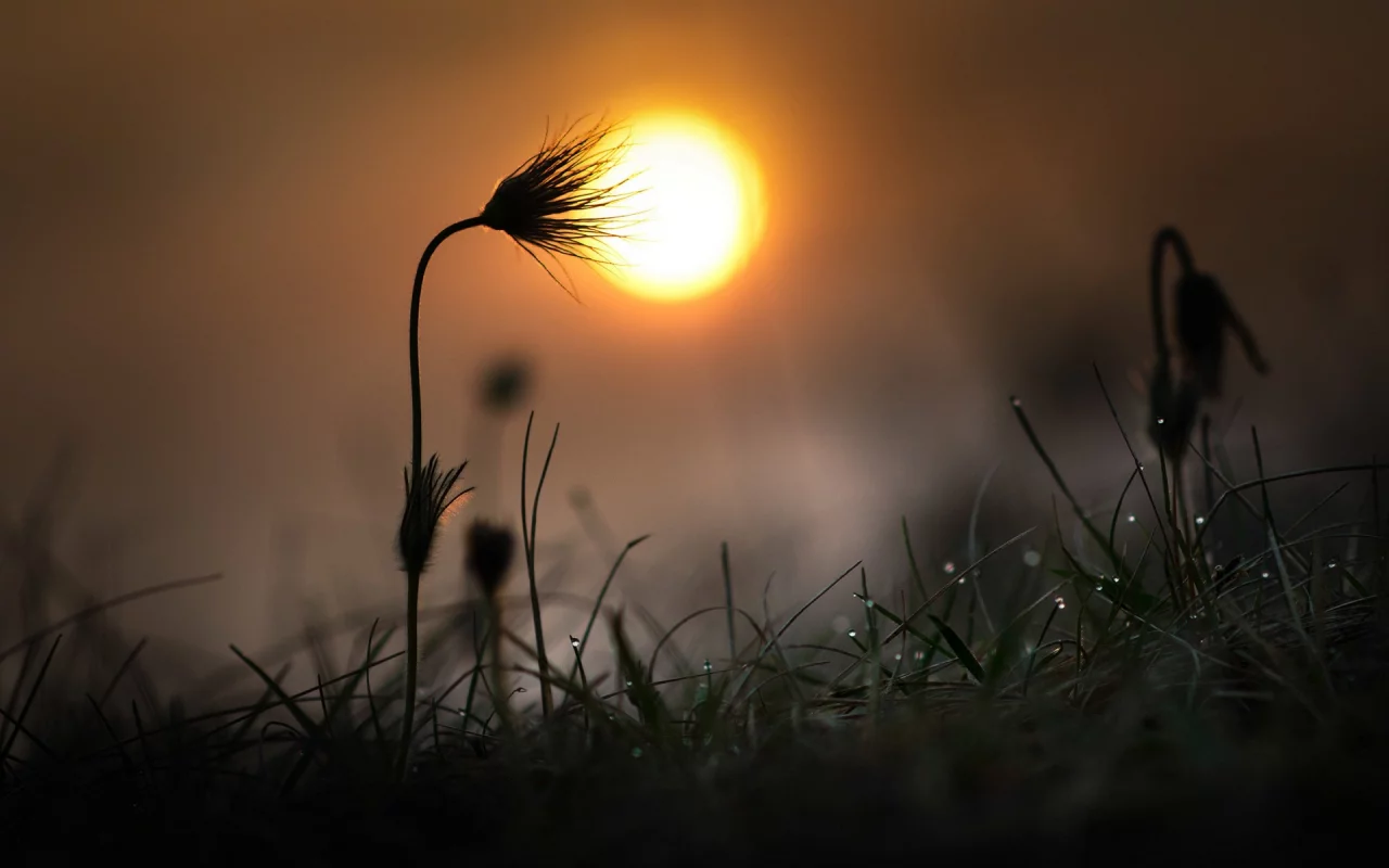 природа