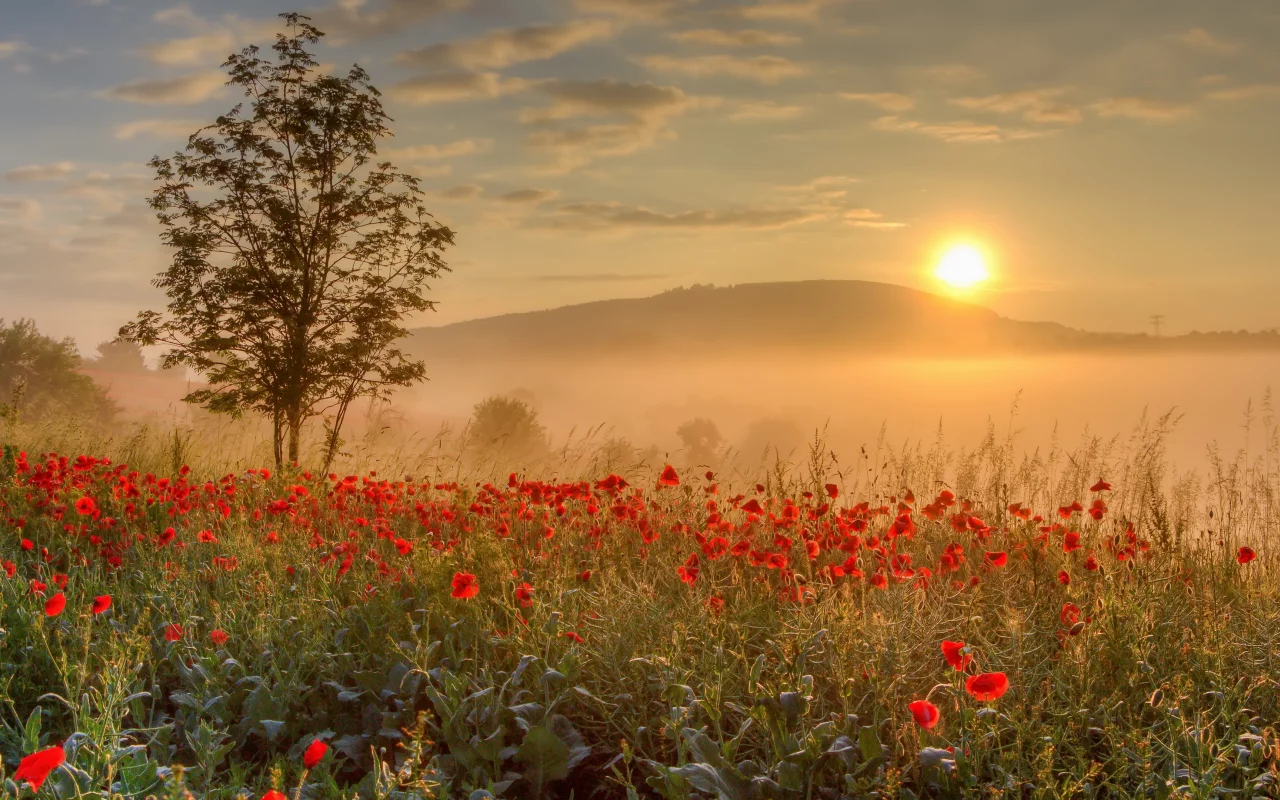 природа