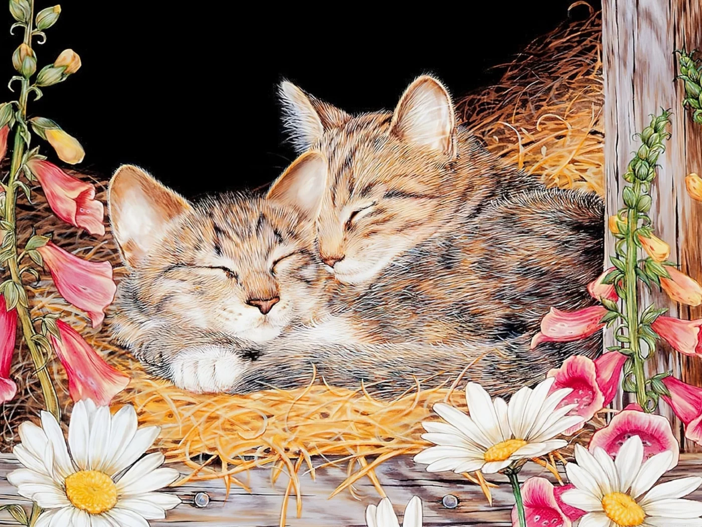 рисунок