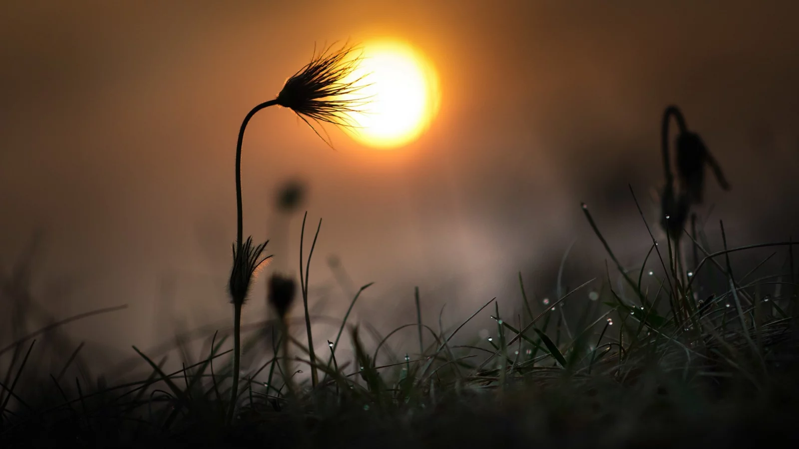 природа