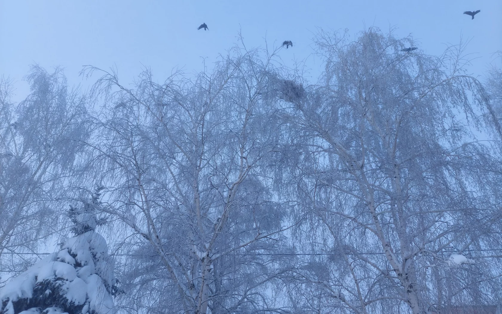 зима