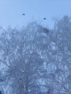 зима