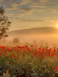 природа