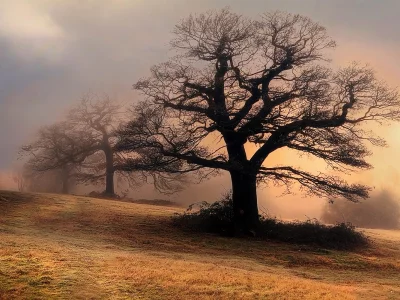 природа