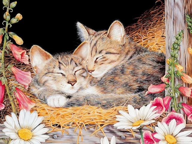 рисунок