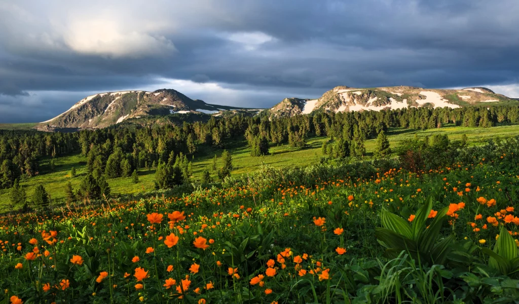 Луга
