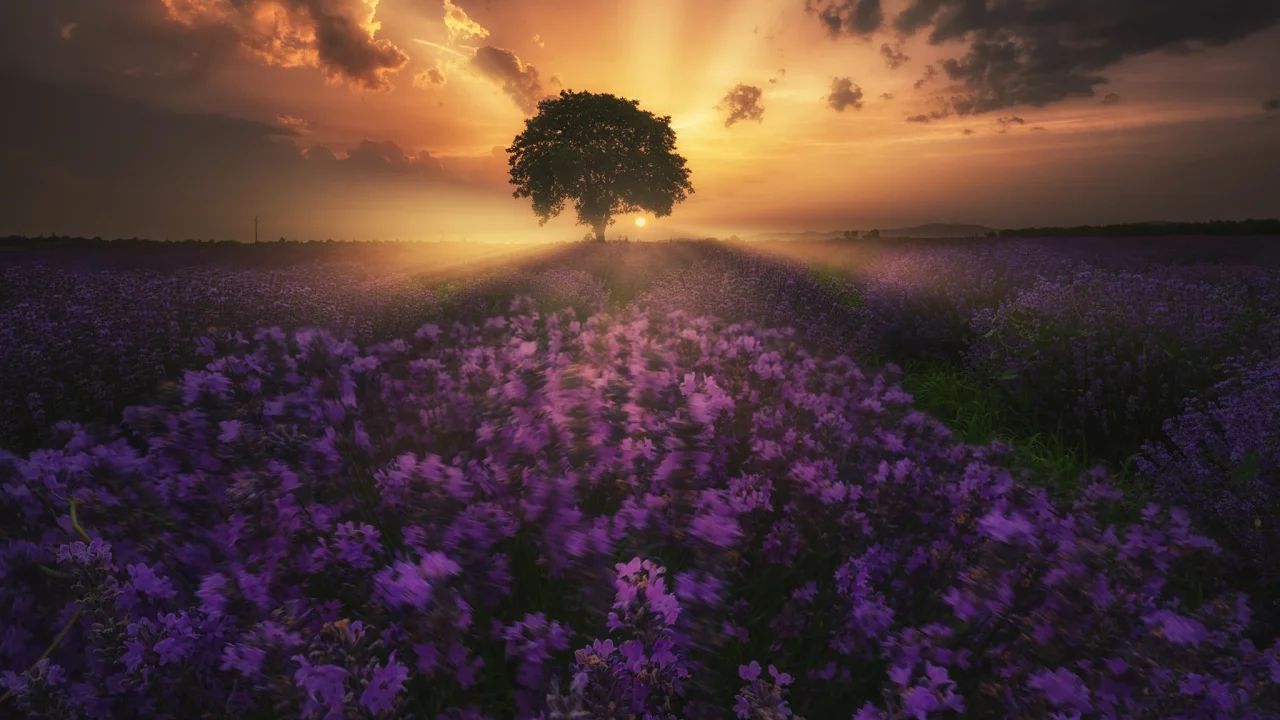 природа