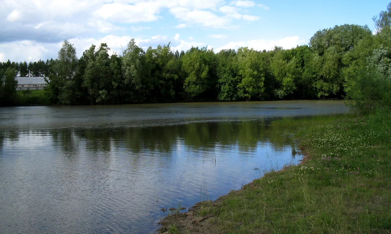 Река