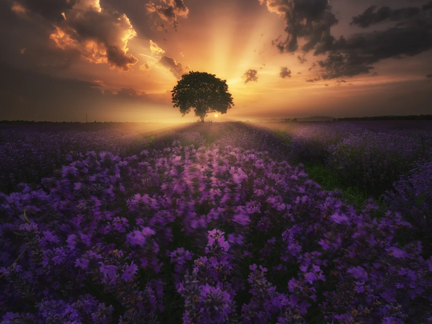 природа