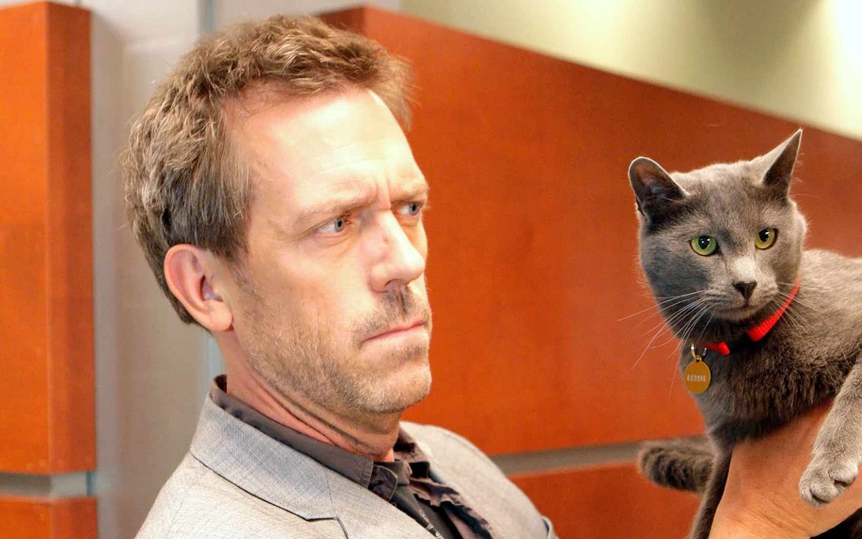 Hugh Laurie