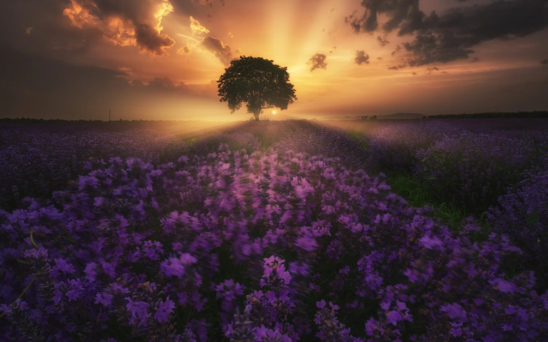 природа