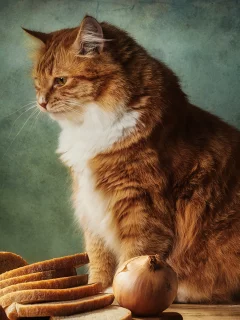 животное