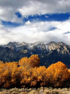 Осень