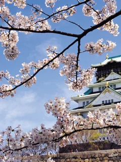 Nagoya castle