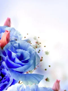 Букет
