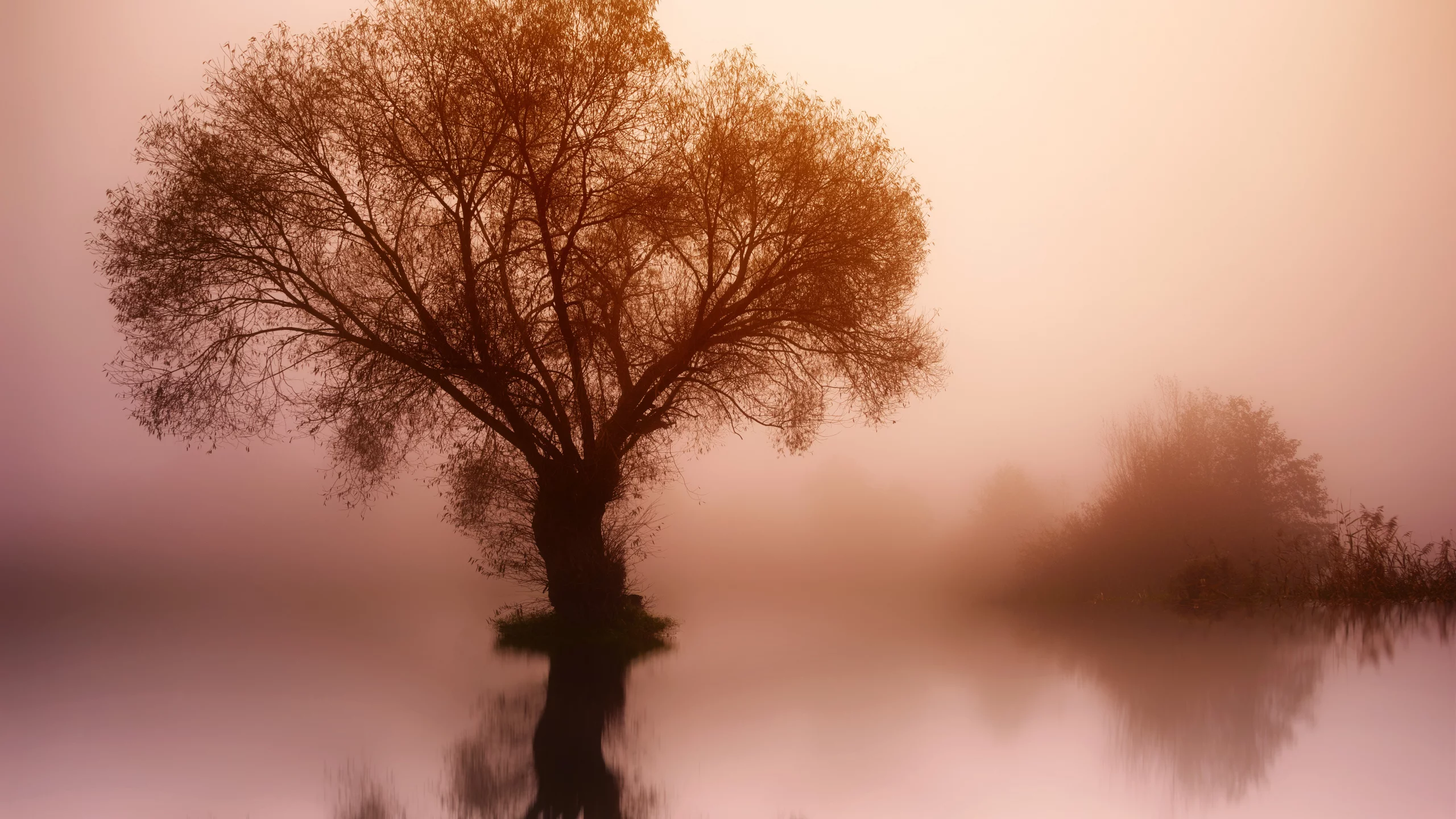 природа