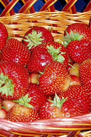Клубника