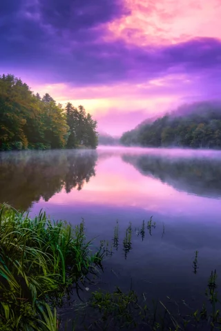 природа